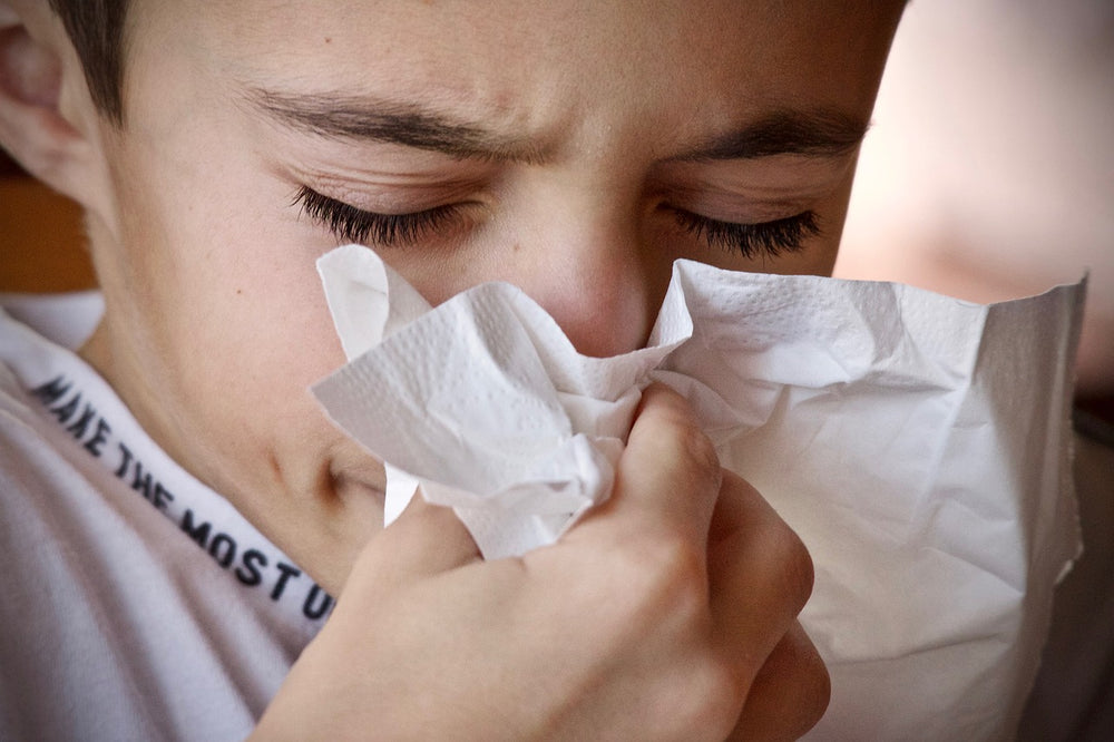 How to Stay Healthy During Flu Season